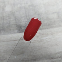 Load image into Gallery viewer, Everything But Ordinary