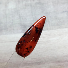 Load image into Gallery viewer, Tortoise