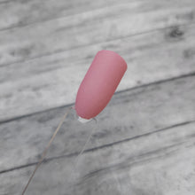 Load image into Gallery viewer, Bon Voyage