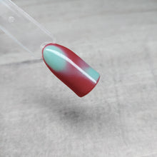 Load image into Gallery viewer, Everything But Ordinary