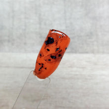 Load image into Gallery viewer, Tortoise