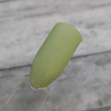 Load image into Gallery viewer, Matcha Latte