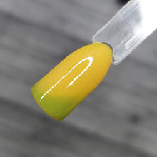 Load image into Gallery viewer, Pistachio Macaroon