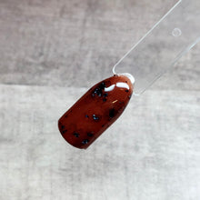 Load image into Gallery viewer, Tortoise