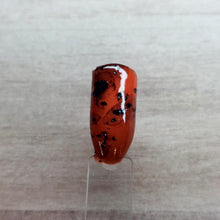 Load image into Gallery viewer, Tortoise