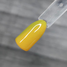 Load image into Gallery viewer, Pistachio Macaroon