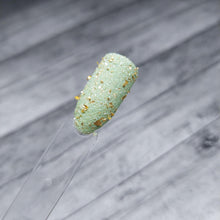 Load image into Gallery viewer, Fairy Castle Cactus