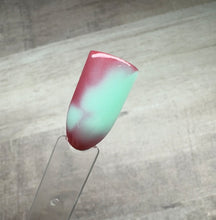 Load image into Gallery viewer, Everything But Ordinary