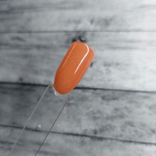 Load image into Gallery viewer, Bungle In The Jungle