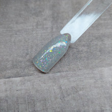 Load image into Gallery viewer, Under The Radar