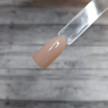 Load image into Gallery viewer, Hush Hush