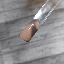 Load image into Gallery viewer, Hush Hush