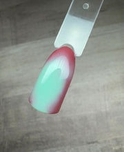 Load image into Gallery viewer, Everything But Ordinary