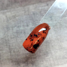 Load image into Gallery viewer, Tortoise