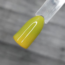 Load image into Gallery viewer, Pistachio Macaroon