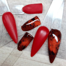 Load image into Gallery viewer, Tortoise