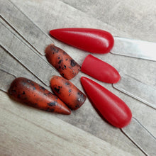 Load image into Gallery viewer, Tortoise