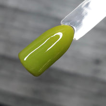 Load image into Gallery viewer, Pistachio Macaroon