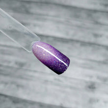 Load image into Gallery viewer, The Darkness Within