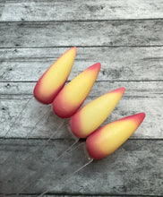 Load image into Gallery viewer, Bae-cation