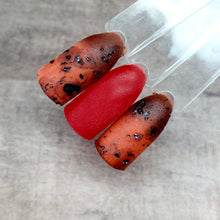 Load image into Gallery viewer, Tortoise