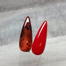 Load image into Gallery viewer, Tortoise