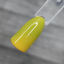 Load image into Gallery viewer, Pistachio Macaroon