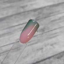 Load image into Gallery viewer, Good Enemy