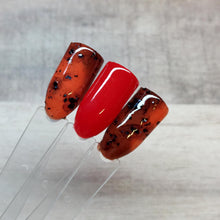 Load image into Gallery viewer, Tortoise