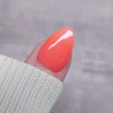 Load image into Gallery viewer, Work Hard, Play Harder