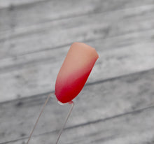 Load image into Gallery viewer, Lady In The Streets, Hussy In The Sheets