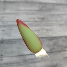 Load image into Gallery viewer, Grinchmas