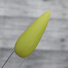 Load image into Gallery viewer, Pistachio Macaroon