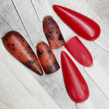 Load image into Gallery viewer, Tortoise