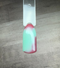 Load image into Gallery viewer, Everything But Ordinary