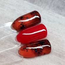 Load image into Gallery viewer, Tortoise