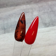 Load image into Gallery viewer, Tortoise