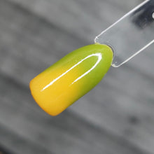 Load image into Gallery viewer, Pistachio Macaroon