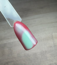 Load image into Gallery viewer, Everything But Ordinary