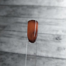 Load image into Gallery viewer, Bungle In The Jungle