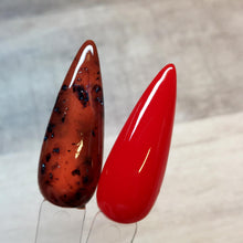 Load image into Gallery viewer, Tortoise