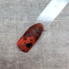 Load image into Gallery viewer, Tortoise