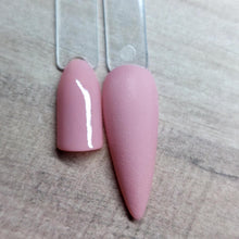 Load image into Gallery viewer, Blush