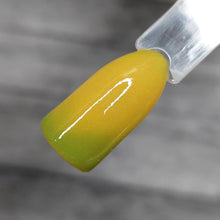 Load image into Gallery viewer, Pistachio Macaroon