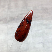 Load image into Gallery viewer, Tortoise