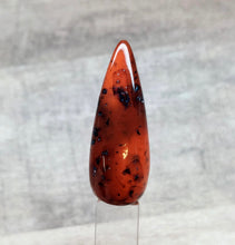 Load image into Gallery viewer, Tortoise