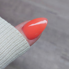 Load image into Gallery viewer, Work Hard, Play Harder