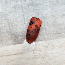 Load image into Gallery viewer, Tortoise