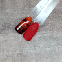 Load image into Gallery viewer, Tortoise