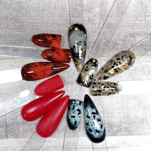 Load image into Gallery viewer, Tortoise